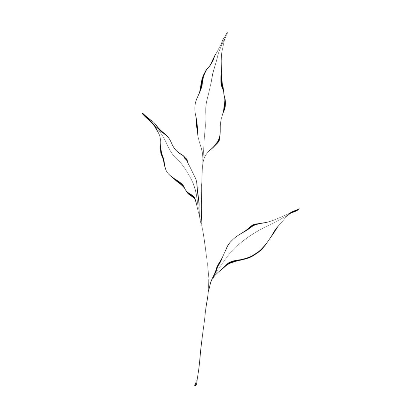 fulles línia 1