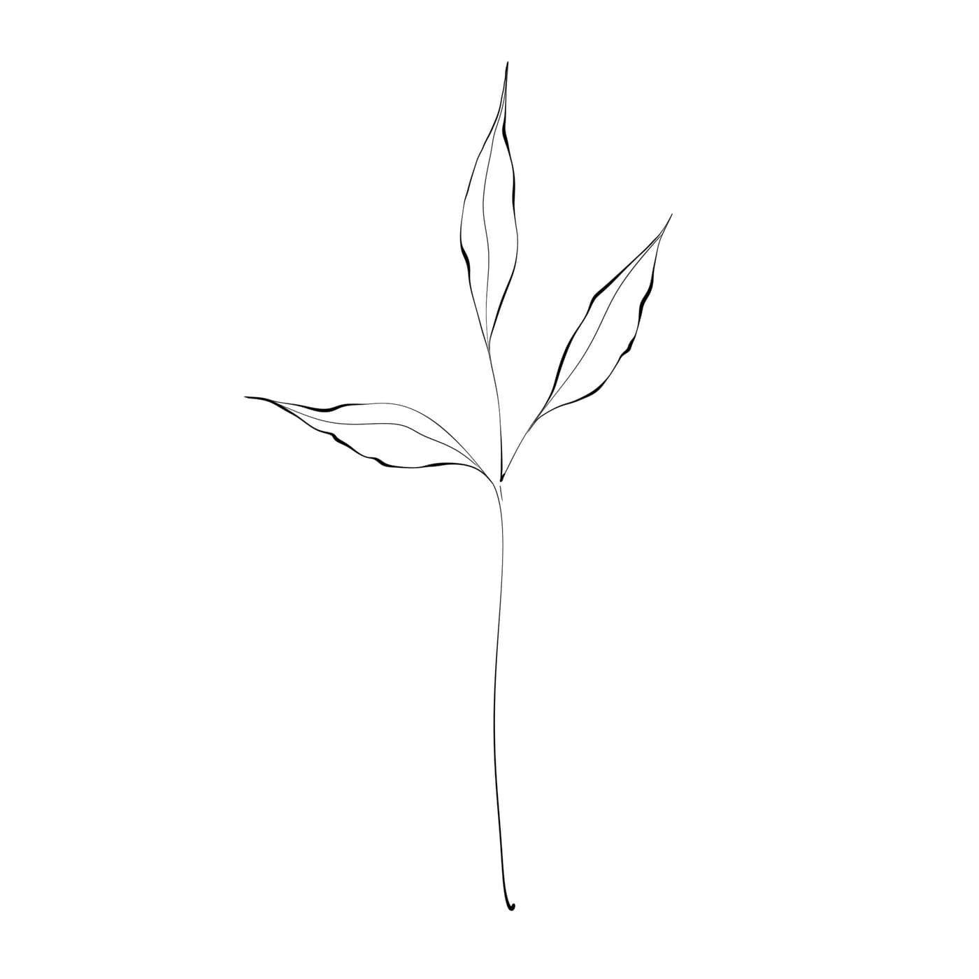 fulles línia 2