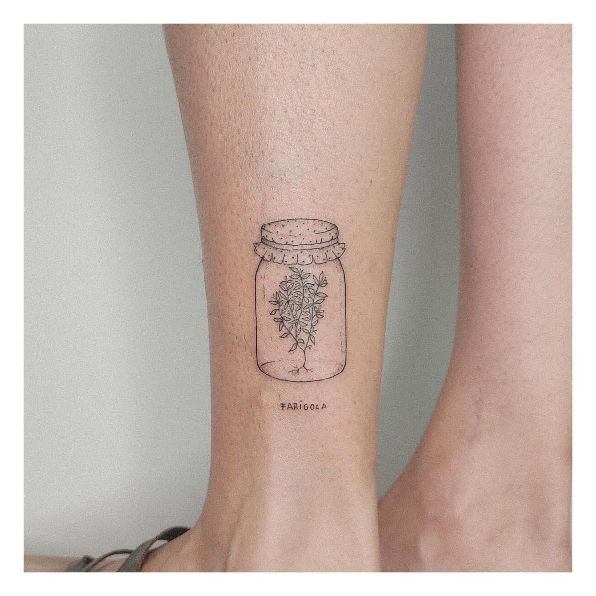 Tatuaje de línea fina: tarro de farigola en el tobillo