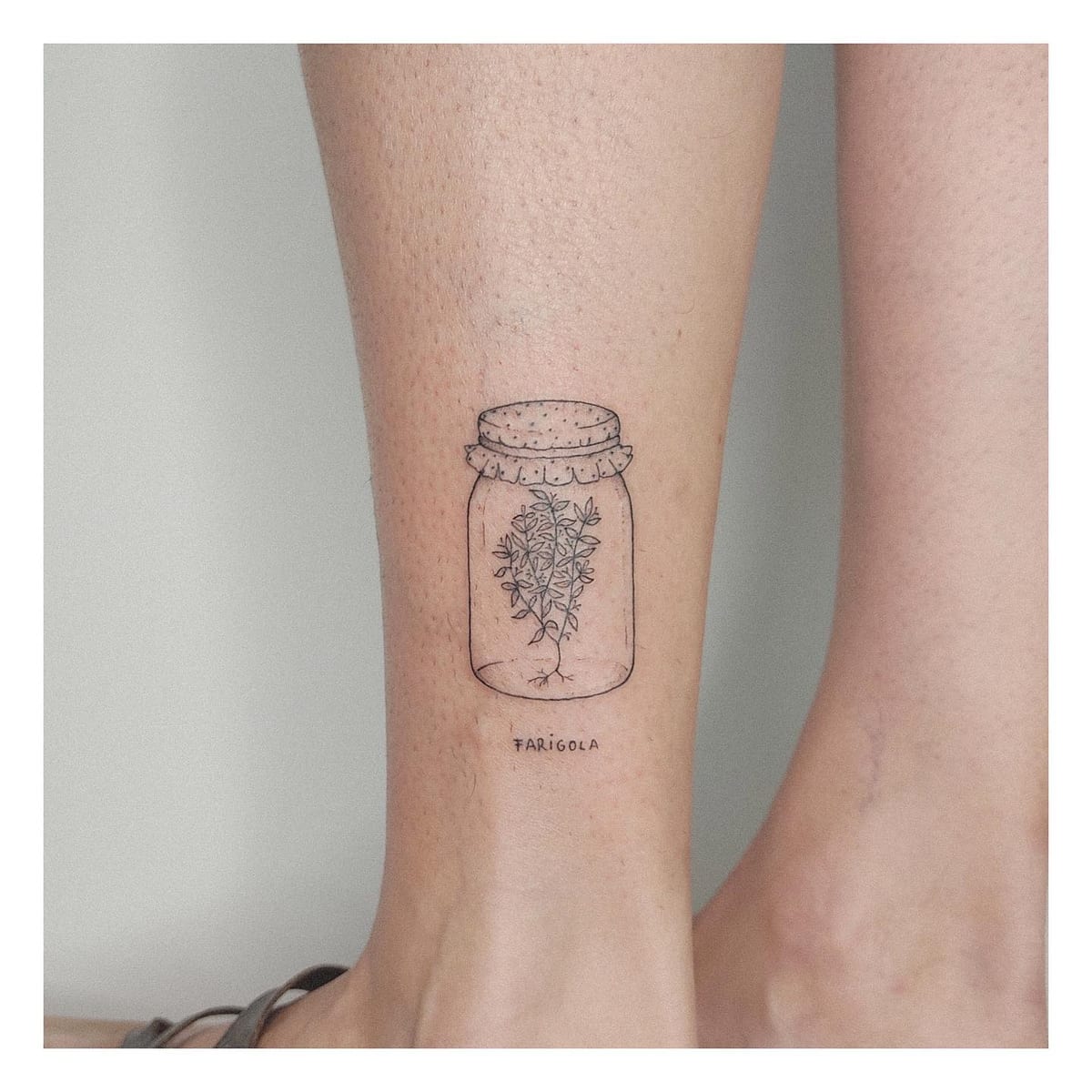 Tatuaje de línea fina: tarro de farigola en el tobillo